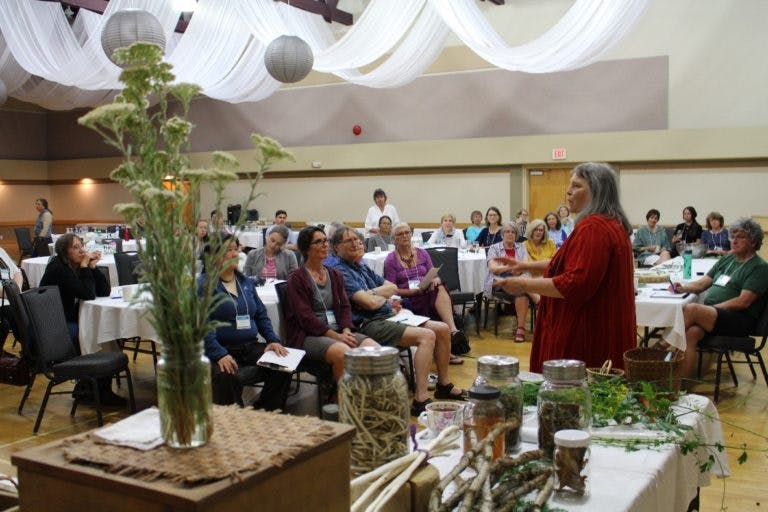 Traditional Plant workshop during the Regional Research Conference in June 2019 that shared traditional, local Indigenous knowledge on plants native to the Mount Arrowsmith Biosphere Region