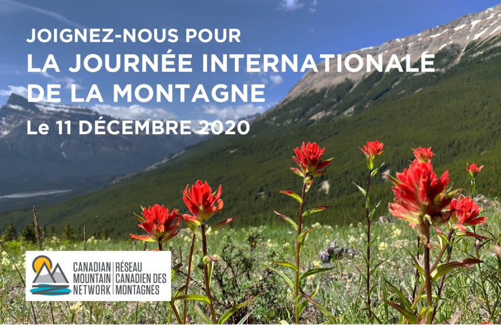 Joignez-nous pour la Journée internationale de la montagne Le 11 Dècembre 2020