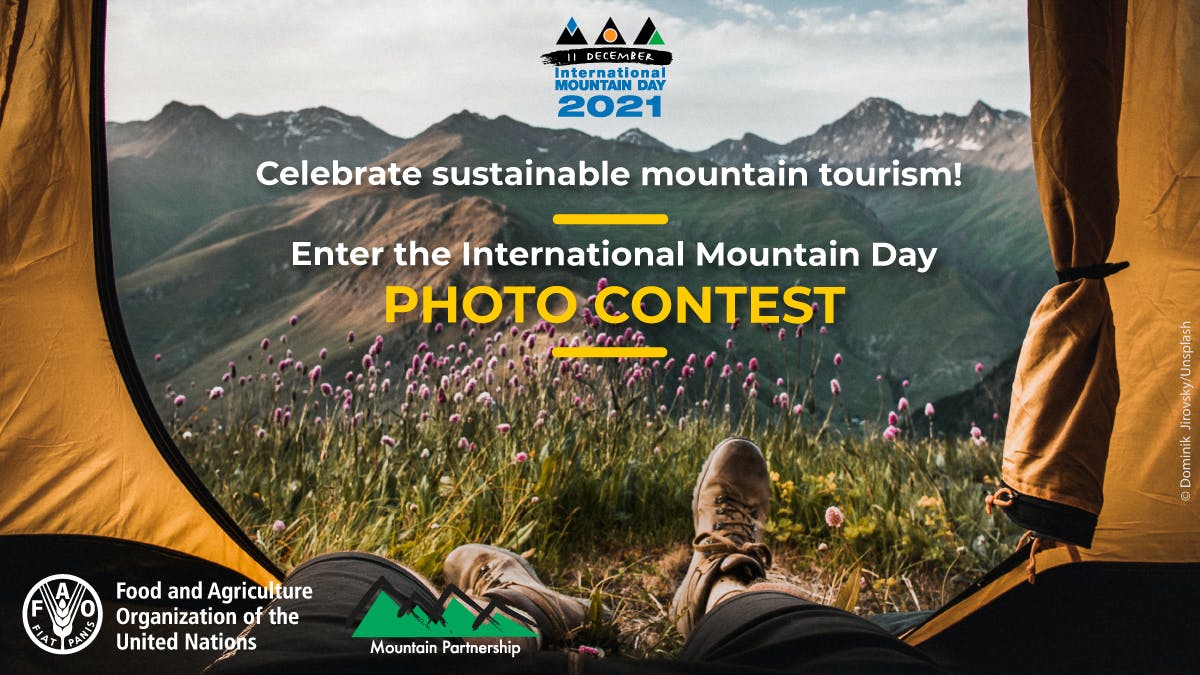 IMD photo contest