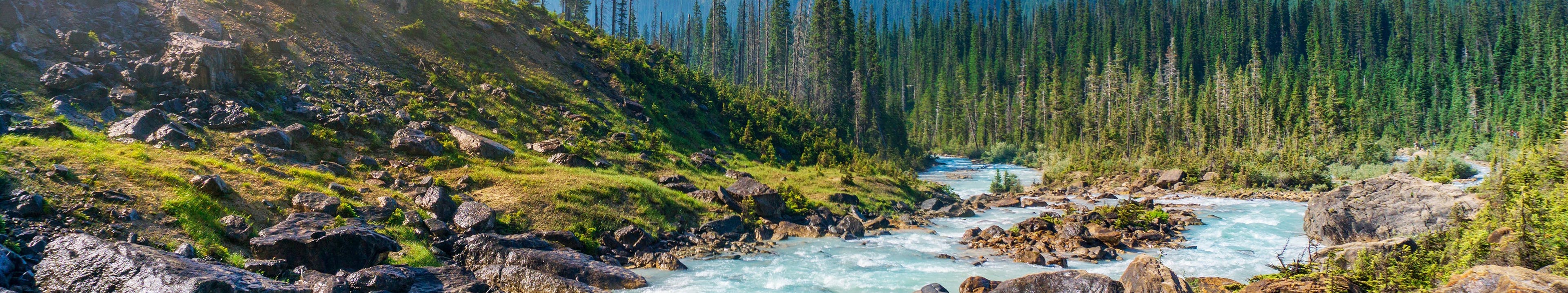 Alberta Mountain River