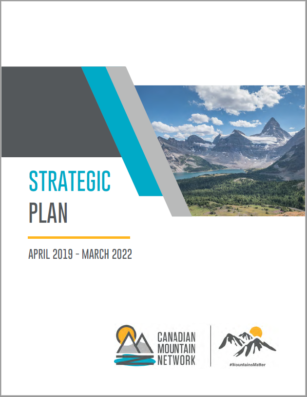 Strategic Plan Preview